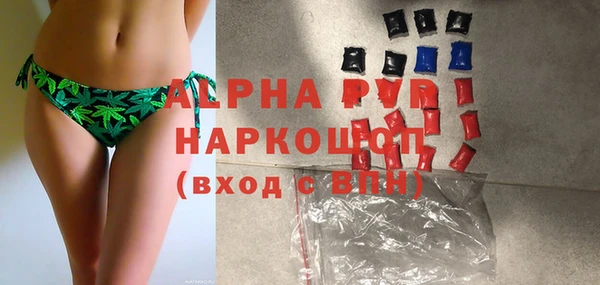 эйфоретик Бородино